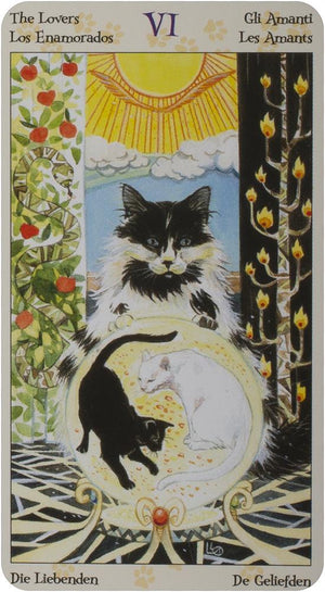 Tarot of the pagan cats