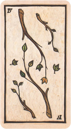Tarot del Toro : kort och bok