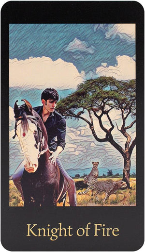Wheel of Fortune TAROT