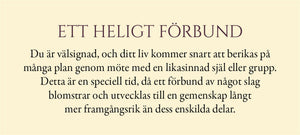 Evigt ljus