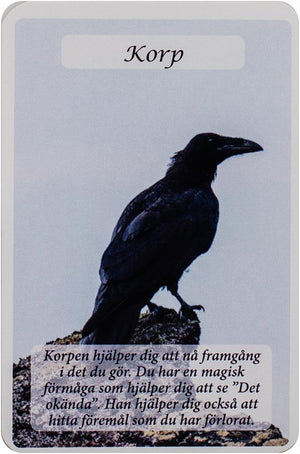 Kraftdjurens Orakelkort