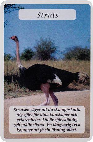 Kraftdjurens Orakelkort
