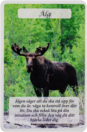 Kraftdjurens Orakelkort