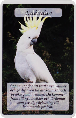 Kraftdjurens Orakelkort