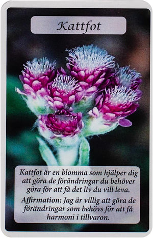 Blommornas Orakelkort