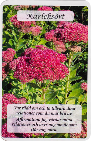Blommornas Orakelkort