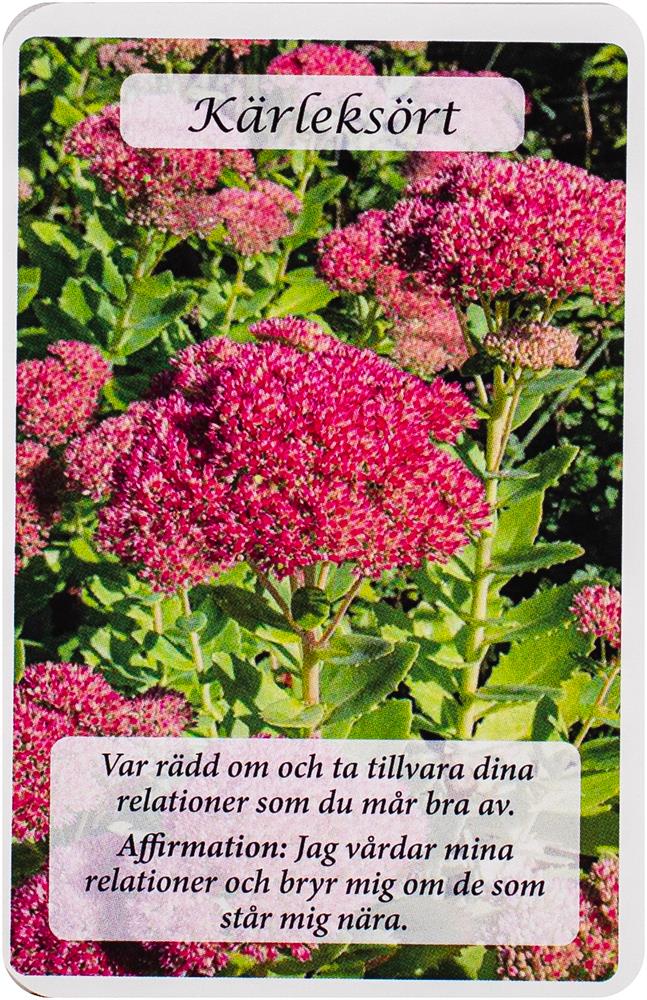Blommornas Orakelkort