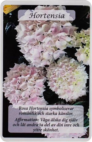 Blommornas Orakelkort