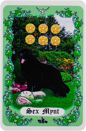 Hundtarot