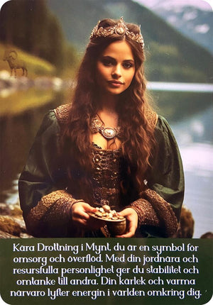 Nya insikter tarot ( Svensk)