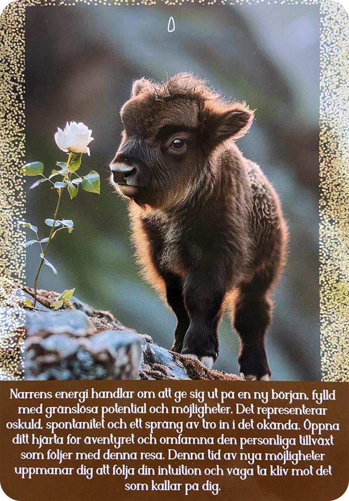 Nya insikter tarot ( Svensk)