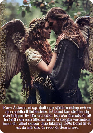 Nya insikter tarot ( Svensk)