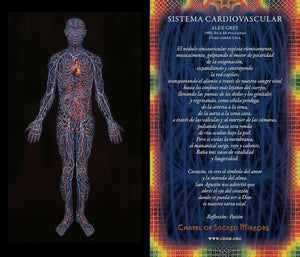 Cartas de los Espejos Sagrados