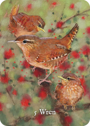 Bird Messengers Oracle