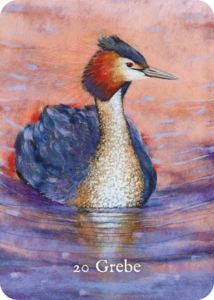 Bird Messengers Oracle
