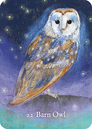 Bird Messengers Oracle