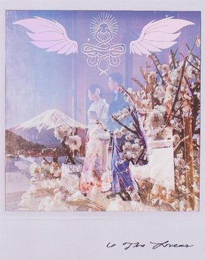 Wild Lands Tarot