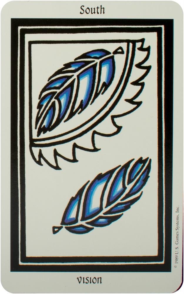 Cards Of Winds And Changes Deck