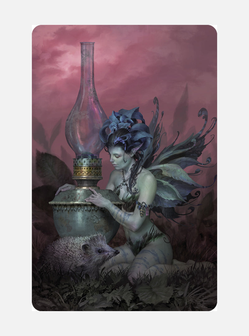 Hedgehog (Night Fairies)