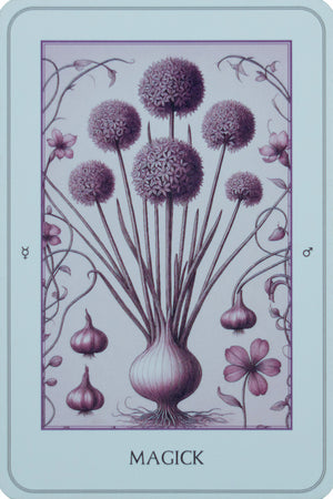 The Northern Lights Strength Deck