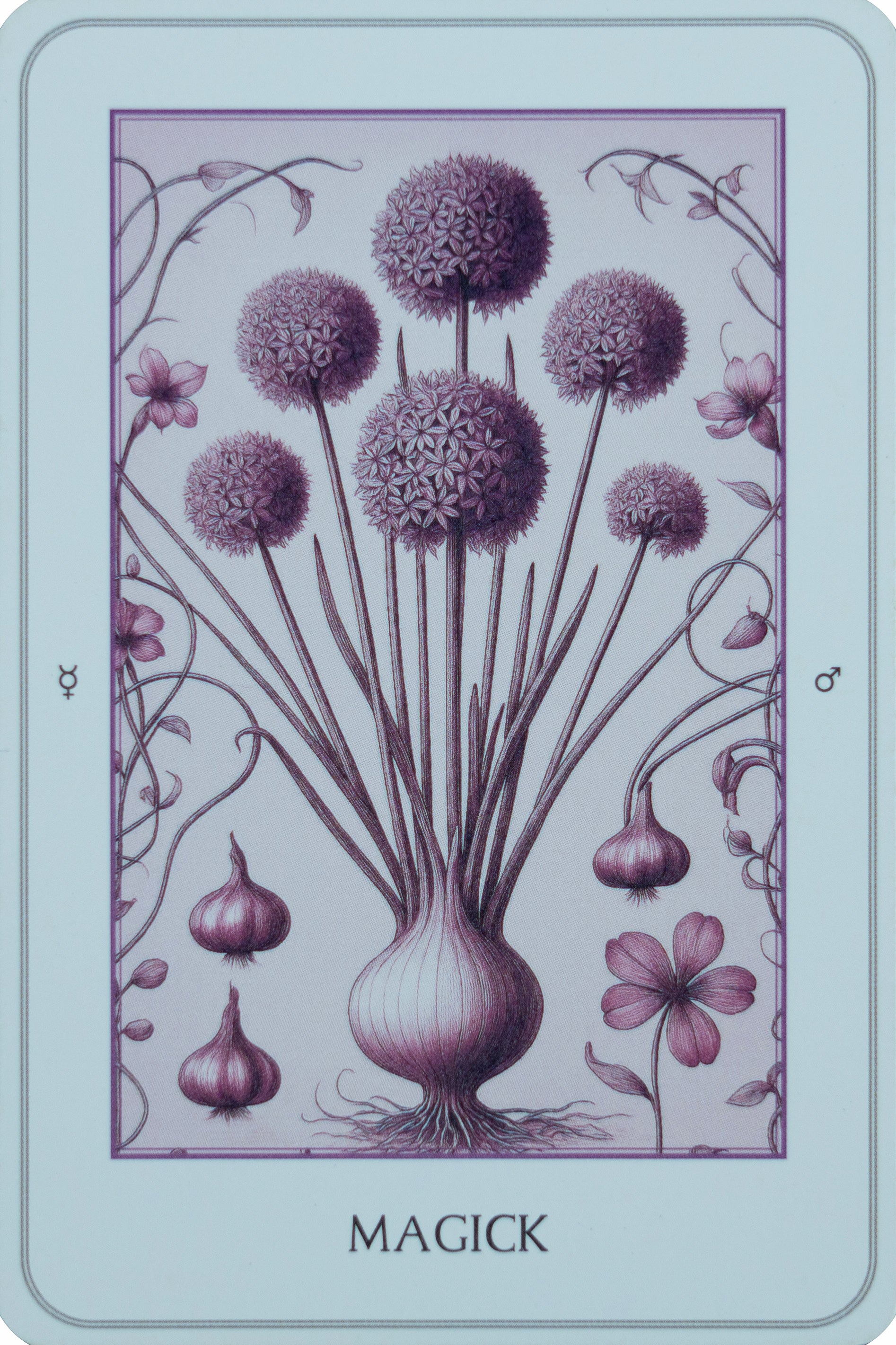 The Northern Lights Strength Deck