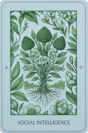 The Northern Lights Strength Deck