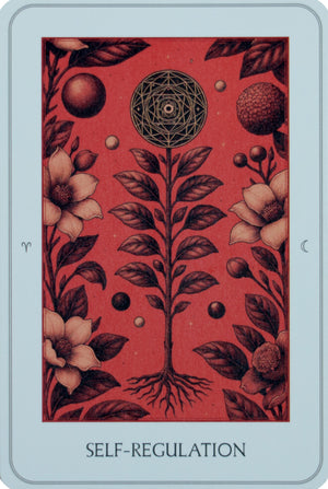 The Northern Lights Strength Deck