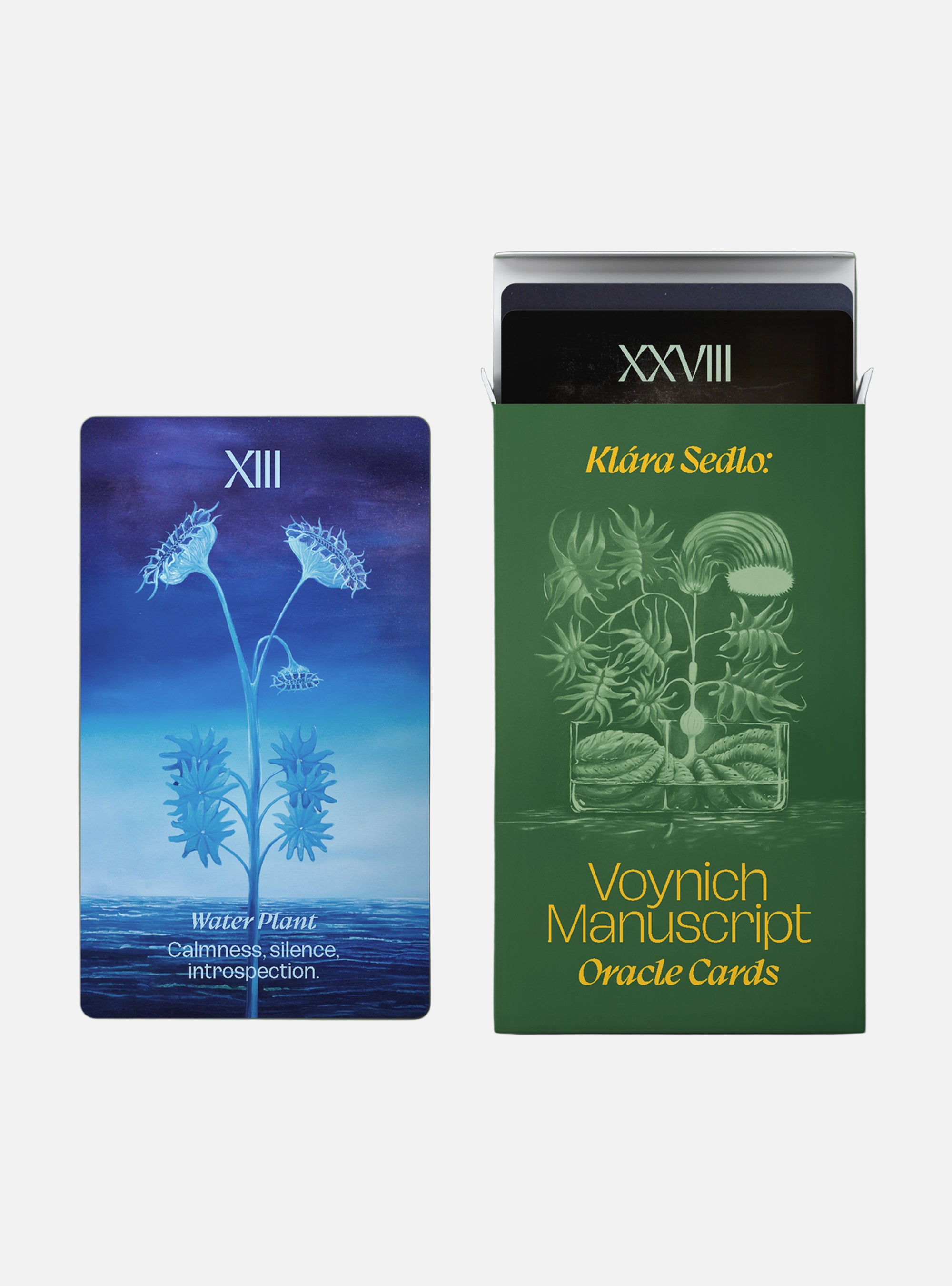 Voynich Manuscript Oracle Cards