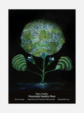 Potentially Health Plant - postcard