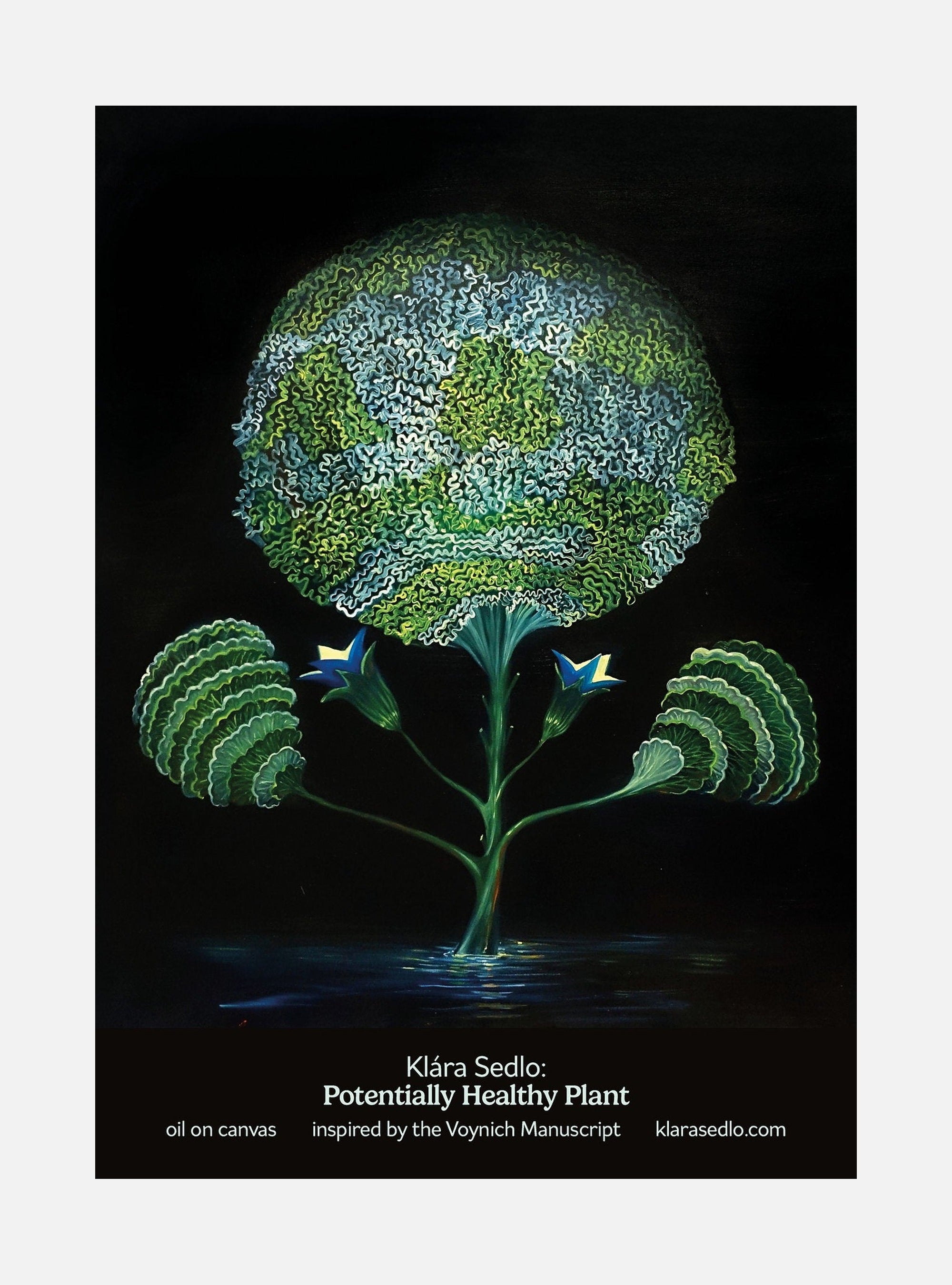 Potentially Health Plant - postcard