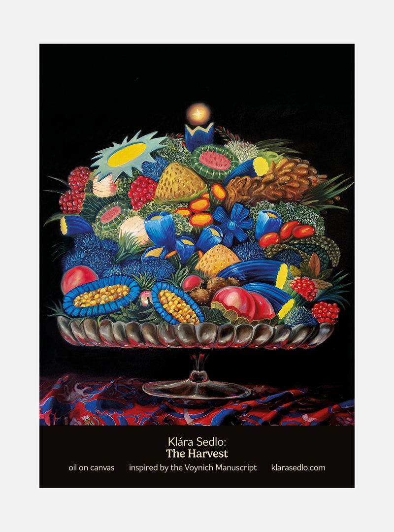 The Harvest - postcard