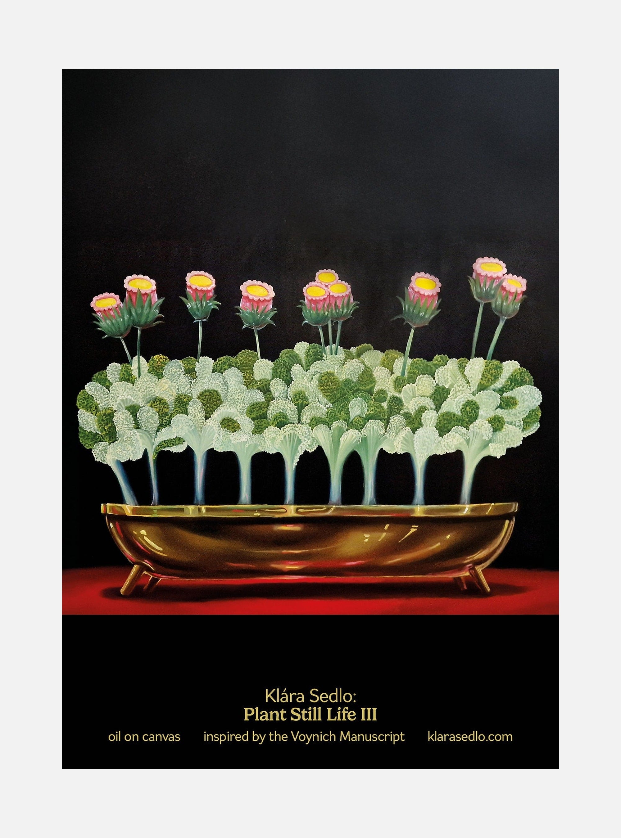 Plant Still Life III - postcard