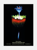 Plant From Elsewhere XIV - postcard