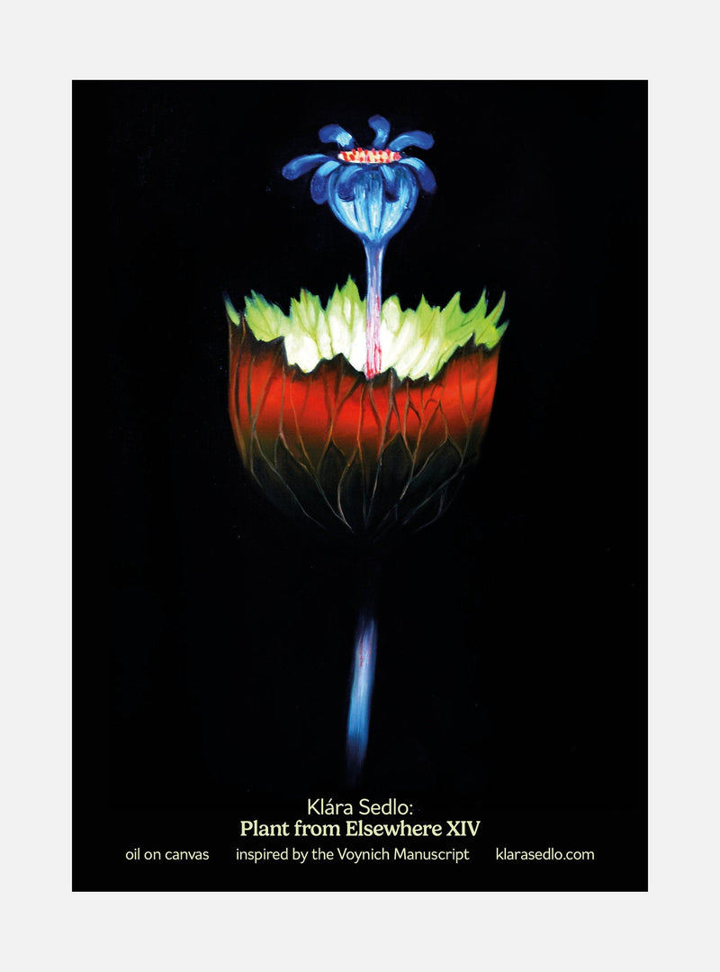 Plant From Elsewhere XIV - postcard