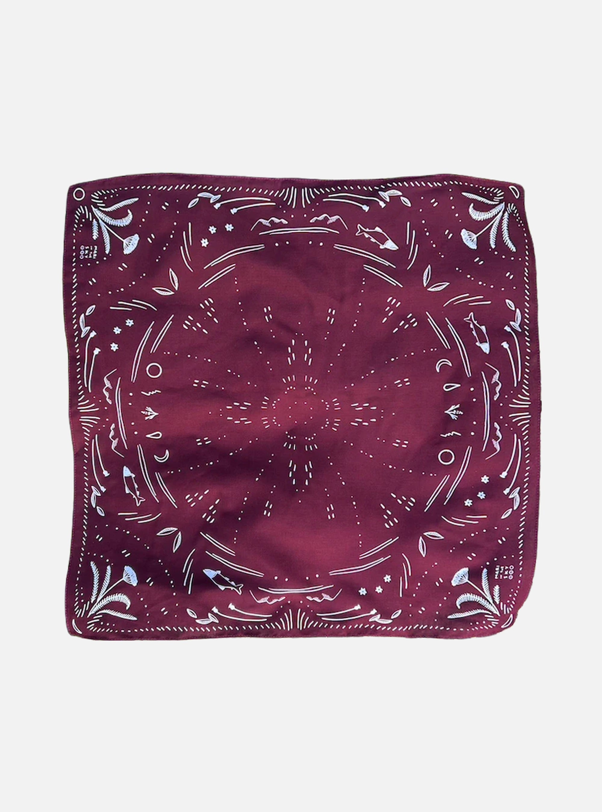 Reading Cloth
