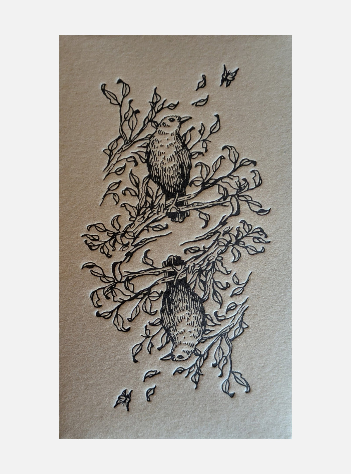 Oak, Ash & Thorn