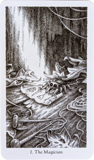 The Winding