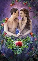 The Elemental Wisdom Tarot