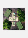 Green Glyphs Oracle